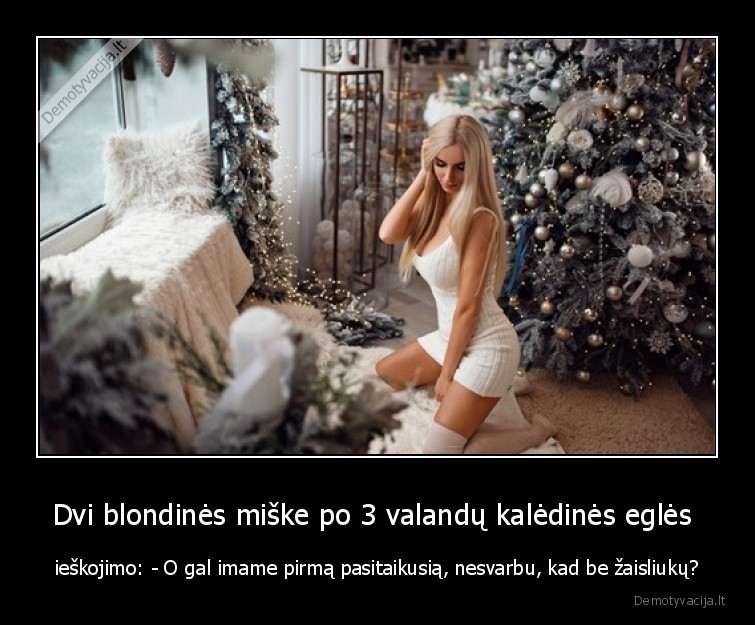 Dvi blondinės miške po 3 valandų kalėdinės eglės  - ieškojimo: - O gal imame pirmą pasitaikusią, nesvarbu, kad be žaisliukų?. 