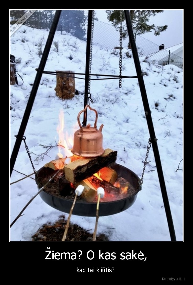 Žiema? O kas sakė, - kad tai kliūtis? . 